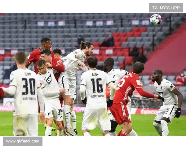 霍芬海姆崛起记:德甲黑马如何突破瓶颈成就辉煌 霍芬海姆崛起记:德甲黑马如何突破瓶颈成就辉煌