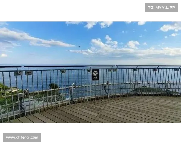 勒阿弗尔及其周边城市文化与历史探访之旅精彩体验 勒阿弗尔及其周边城市文化与历史探访之旅精彩体验