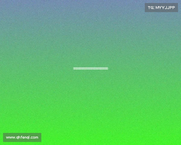 勒阿弗尔及其周边城市文化与历史探访之旅精彩体验